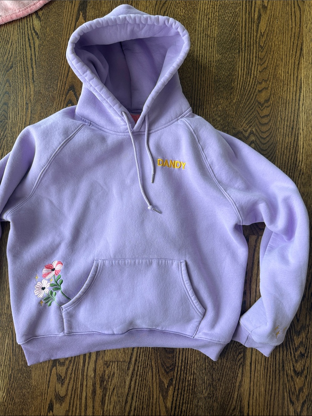 Dandy Lavender Embroidered Hoodie